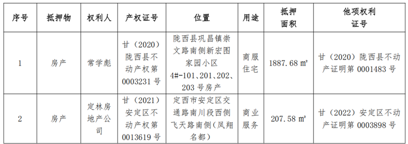 定西远大-南宫NG28债权资产营销公告_222_副本.png